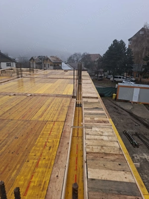 Echipa de baieti cautam de munca in domeniul construcțiilor  - imagine 5