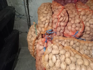 Cartofi consum ai samanța