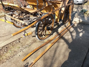 vind trasura de 1 sau 2 cai - imagine 2