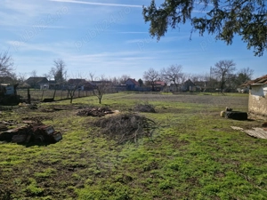 Vând casă in Dorobanți jud Arad  - imagine 3