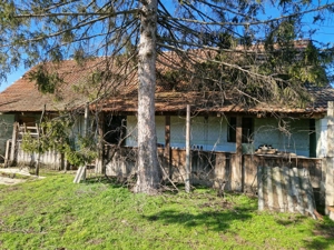 Vând casă in Dorobanți jud Arad  - imagine 4