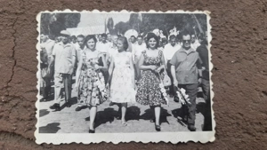 Vedere din trecutul cu flori