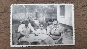 Vedere anul interbelic