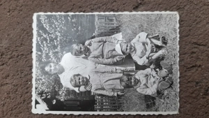 Vedere interbelica profa