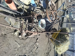 Plug doi cai  - imagine 2