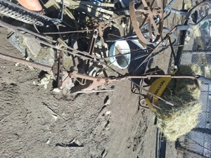 Plug doi cai  - imagine 3