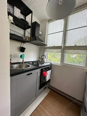 Aradului -Apartament 3 Camere  - imagine 11