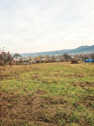 Vând teren intravilan 1.557 m  în Niculițel - imagine 5
