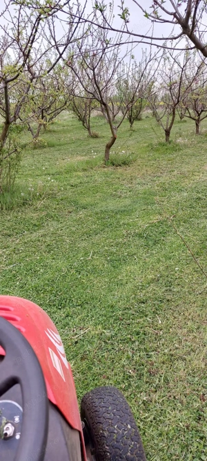 Vand 2 locuri de casa a cate 1500 m patrati fiecare (15 arii) intravilan - imagine 2