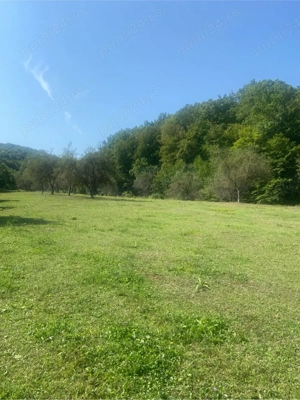 Teren Ocnele Mari- Ocnita - imagine 5