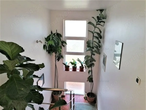 Casa individuala P+M, 6 camere, teren 645 mp in vatra satului Săcalaz  - imagine 7