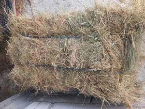 Disponibili baloți de calitate