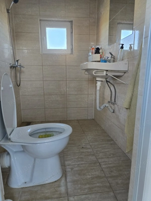 Casa batraneasca  localitatea Covaci toate utilitatile la 5 km de Timisoara strada asfaltata - imagine 10