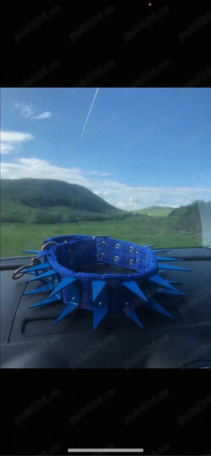 curea cu colti din fier rezistenti  - imagine 3