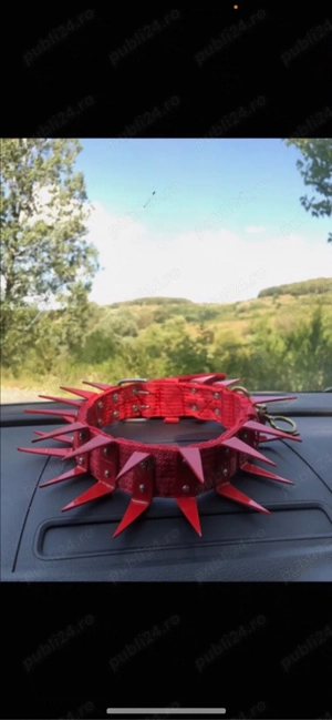 curea cu colti din fier rezistenti  - imagine 5