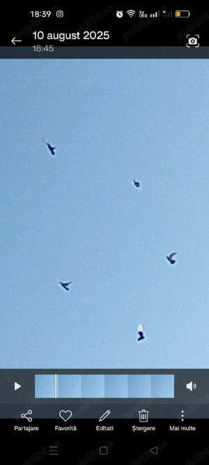 Jucătorii de Galați morișcari - imagine 5