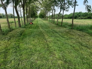 Vând teren cu livadă   0,58 ha. - imagine 3