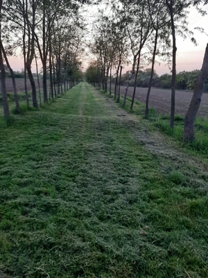 Vând teren cu livadă   0,58 ha. - imagine 2