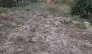 Covaci  - Teren  Intravilan