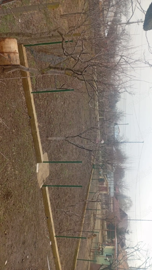 De vânzare loc de casă  in satul Oreavul comuna Valea Ramnicului - imagine 3