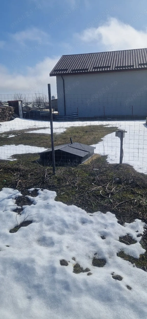 Teren + fundație + toate utilitățile | gata de construit | Cataloi - imagine 4