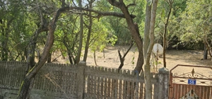 Teren plus casa de vânzare sat.Canpeni.com.Pielesti - imagine 3