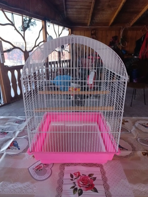 Cușcă medie păsări - imagine 2