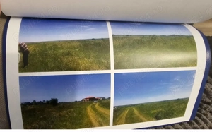 Teren de vânzare in comuna Pischia, județ Timiș  - imagine 5