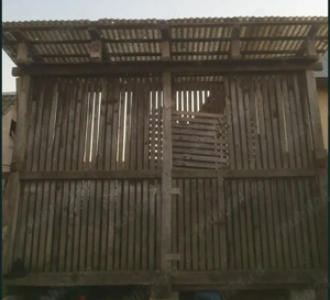 Costei hambar siloz porumb schimb cu bovine mici