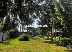 Villa for sale, 4 Rooms, 200 sqm, 4500 sqm, Cordun - imagine 6