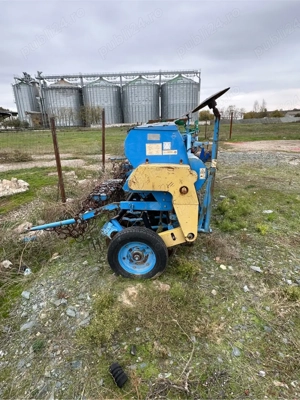 Semanatoare - imagine 5