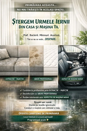 Curățenie Premium Primăvară   Case, Birouri, Mașini   AneLux Cleaning