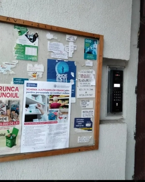 Distributie afise in București 