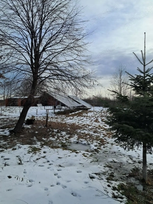 Teren si locuinta pentru investitii in Tazlau la DJ156A - imagine 15