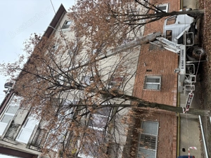 De închiriat și toaletat copacii   Și pun burlane  și jgheaburi  - imagine 2