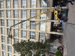 De închiriat și toaletat copacii 