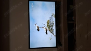 smart tv HORIZON - imagine 2