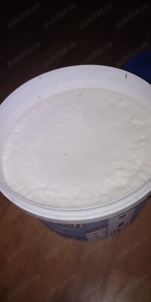 Vand untură de porc proaspătă 