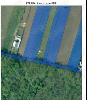 Teren 6500 mp (Vaslui)  - imagine 3