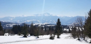 Vand teren 47.8 HA intravilan + extravilan Moisei Viseu - imagine 6