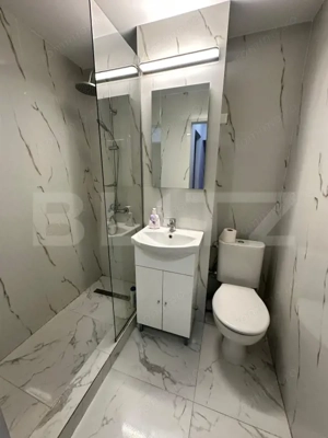 Garsoniera, 27 mp, zona Rovine - Posta  - imagine 9