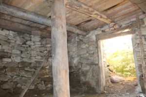 Casă batraneasca cu teren generos - Telechia - imagine 5