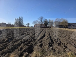 Casa individuala cu 3 camere intr-un teren generos - imagine 18