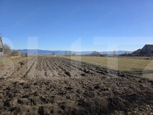 Casa individuala cu 3 camere intr-un teren generos - imagine 17