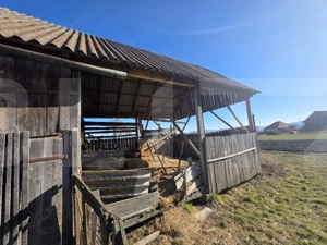 Casa individuala cu 3 camere intr-un teren generos - imagine 15