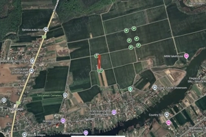 Tancabesti, marginea localitatii spre padure