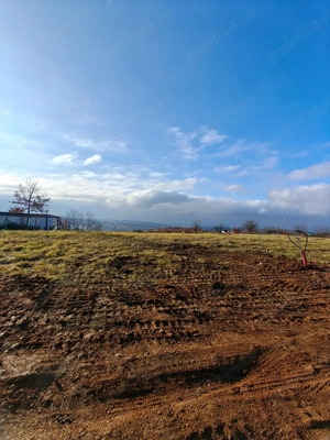  Teren intravilan compact, cu suprafață de 3000 mp - imagine 5