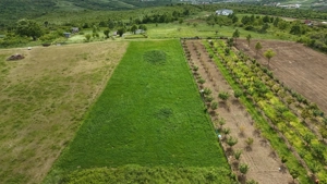  Teren intravilan compact, cu suprafață de 3000 mp - imagine 8