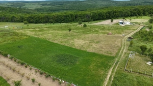  Teren intravilan compact, cu suprafață de 3000 mp - imagine 9