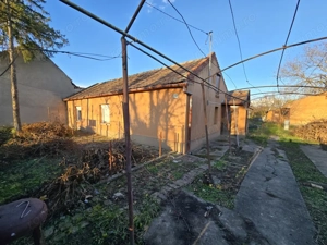 Fratelia- Casa si teren- 1438 mp